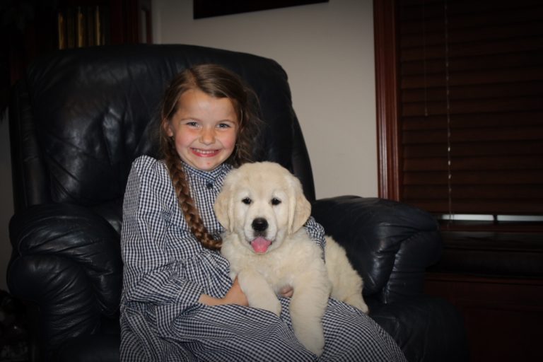 Puppy Held By Little Girl