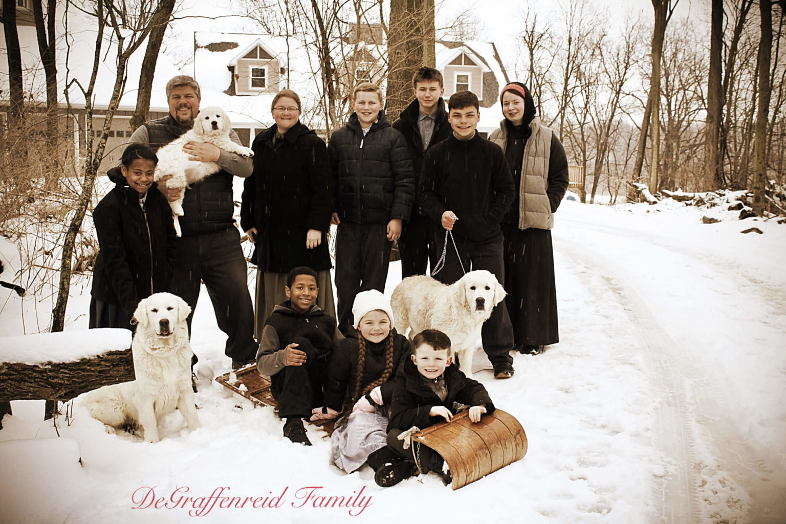 Family Picture With Our English Golden Retriever Dogs And Puppy